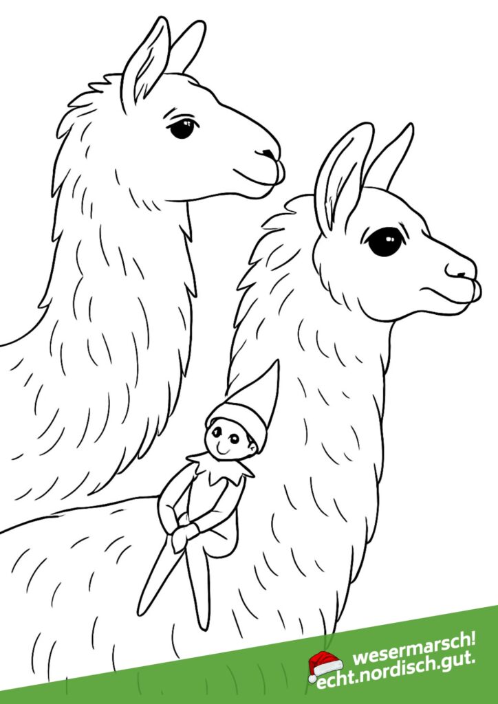 Pelle kuschelt mit Alpakas